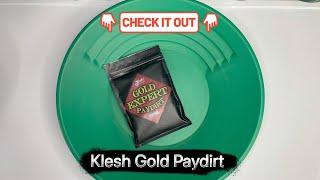 Paydirt Review #41 - Klesh Gold Paydirt -Expert-