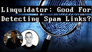 Linquidator (Link Detecting Software) Good For Finding SPAMMY LINKS?