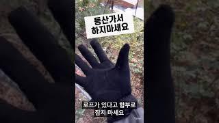 등산갔을때 이거 주의하세요! 소소한 팁