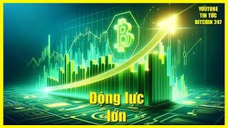 Bitcoin có động lực tăng giá mạnh, các Altcoin chứng kiến biến động lớn