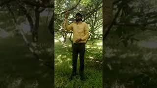 devayat khavad new video 2017