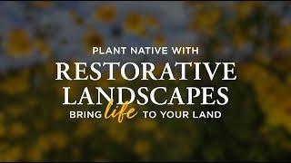 Restorative Landscapes