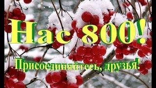Нас 800!