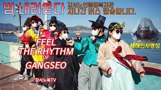 [설날특집] 부산 강서구 강서노인종합복지관 범내려온다(Feel the rhythm of gangseo) 패러디