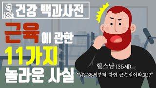 35세 이상 주목! 당신은 자연근손실 진행중... 근육에 관한 11가지 놀라운 사실 @세모지