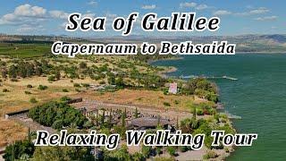 Capernaum to Bethsaida Relaxing Walk Tour! Walk in the Footsteps of Jesus, Enjoy the Sea of Galilee!