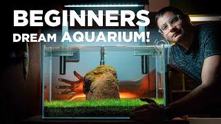 BEGINNERS dream AQUARIUM! Watch how I built it in just a few SIMPLE STEPS!