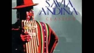 Savia Andina - Kalampeado