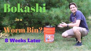 Bokashi Composting in a Worm Bin 8th Week (12/8/2019)