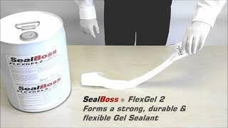 Hydrophilic Chemical Grout Injection Gel SealBoss FlexGel
