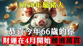 1959年屬豬人，要恭喜了！乙亥年生的土豬人，今年66歲，您的財運將在2025年徹底翻盤【佛語】#運勢 #風水 #佛教 #生肖 #佛語