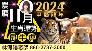 2024農曆十一月，丙子月，12生肖運勢大解析（鼠、牛、虎）【林海陽】_20241120