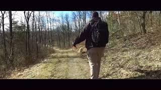 Lehigh Valley Dog Tracking and Trailing ||| Off Leash K9 Training, Lehigh Valley