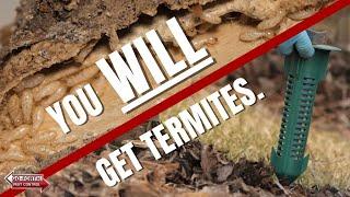 Sooner or later, you WILL get termites. Be proactive! // Termite Pest Control