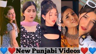 New Instagram Punjabi Reels Video | Punjabi Reels ️️