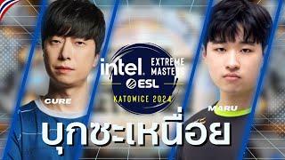 Starcraft 2  : Maru(T) vs Cure(T) - IEM Katowice 2024