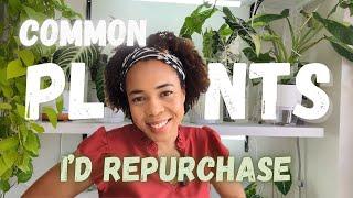 COMMON plants I’d repurchase