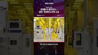 [트럼프 당선] 성장률 더 떨어지나…정부, '관세리스크'에 고심
