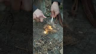 2 Natural Materials For an Easy Fire! #survival #fire #bushcraft #camping