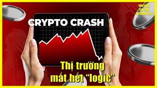 Thị trường crypto đã mất hết logic, nhiều người mất hàng triệu USD chỉ trong 1 ngày