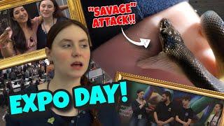 Toronto Reptile Expo - Savage Bites! Rare Lizards! Expert Panels! This One Had It ALL!!