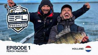 Perch Madness – odcinek 1, EFL 2024