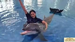 Dubai Dolphinarium - Umrah Package from Dubai - Dubaiumrah.com