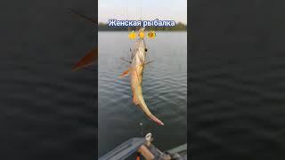 Женская рыбалка. Окунь на удочку  #рыбалка #влог #озеро #fishing #fish #окунь