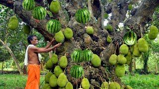 How to growing jackfruit from watermelon | How to Growing jackfruit