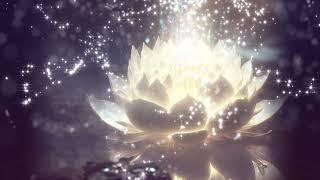 ancient meditation: Lotus Meditation Ｍusic,meditation music relax mind body,positive energy