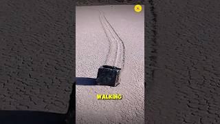 The Mystery Behind Walking Stone #reels #foryou #mystery #walkingstone #yttracker #shorts