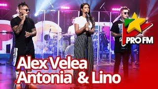Alex Velea feat. Antonia & Lino – Sahara  | ProFM LIVE Session