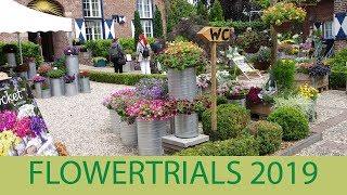 Flowertrials 2019 - Neuheiten & Konzepte von Kientzler Jungpflanzen