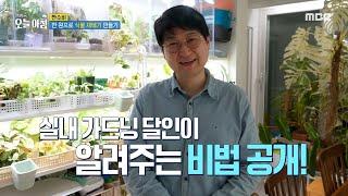 [생방송 오늘 아침] 실내 가드닝 달인이 알려주는 식물 재배기 만들기!, MBC 240404 방송