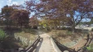 Gyeongju, Poseokjeong Samneung of autumn 360VR Video _ ALPHA 360 Action