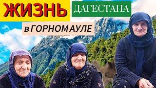 ЖИЗНЬ В ГОРНОМ АУЛЕ ДАГЕСТАНА | Деревня России в наши дни.   #тлярата #дагестан #аул #деревня