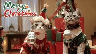 Mariah Carey-All I Want for Christmas Is You (cover by two cats）@BongoCat @MariahCarey