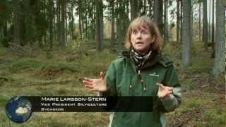 The Swedish forestry model : Environmental atlas of Europe