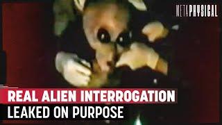 Remote Viewing the Area 51 Alien Interview