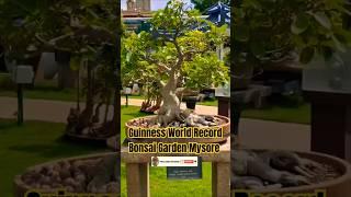 Bonsai Garden Mysore ll kishkindha Moolika ll Youtube Shorts ll Plants