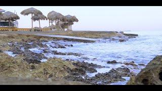 EL MAR Y NOSOTROS (Video oficial)