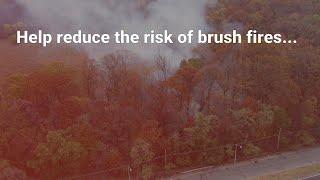 Help reduce the risk of brush fires in New York City