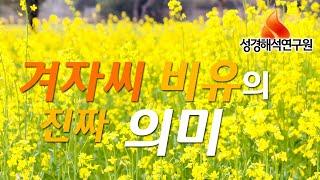 [예수님의 비유] 겨자씨 비유의 진짜 의미