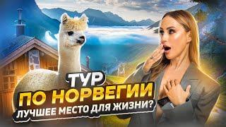 ТУР ПО НОРВЕГИИ! Очень дорого?! Вы захотите это увидеть! Горы и Альпаки