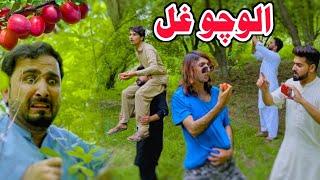 Pashto funny videos  | Aloocho ghal | Zindabad vines new funny video 2023