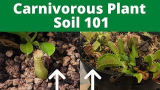 How to Make Carnivorous Plant Soil (Easy Guide with Recipes)