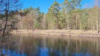 Zwischen Schleuse Schönwalde und Falkenseer Straße | Havelkanal-Wanderung