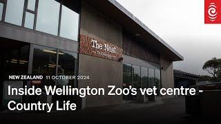 Inside the Nest - Wellington Zoo's vet clinic | RNZ