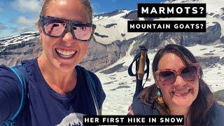 Hiking Panorama Point via Skyline Loop Trail | Ranier National Park Washington