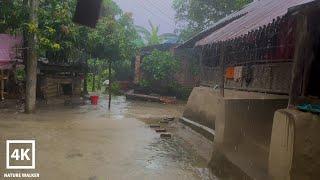 Bangladeshi village rain walk | Very heavy rain on village | Village rain | Village life | Rainy day